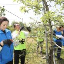 한진농장 이미지