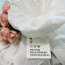 반해떡