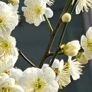 연제구 보훈회관 이미지