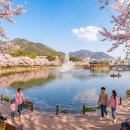 김해수 온누리약국 이미지