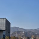 저두 출렁다리입구 | 원주 출렁다리 소금산 입장료 주차 정보