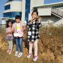 강화고인돌 캠핑장 네이버블로그