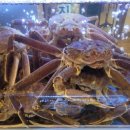 강구수산회대게센타 이미지