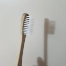 제로베이직