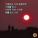 배우 김희애의 제주살이 이미지