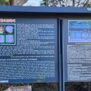 신선동-12 이미지