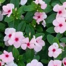 수원성심내과의원 이미지