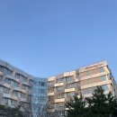 청초호베스트호텔 | 속초 숙소 후기 청초호 베스트호텔