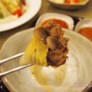 퓨리너
