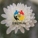 중앙대학교병원 | 중앙대학교광명병원 장례식장 후기와 장례비용 정리