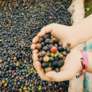 버닝팩토리 이미지