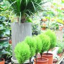 월평2호 이미지