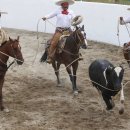 카우보이 이미지