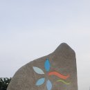 시화간척지(대형화훼단지) | 경기 안산 대부 바다향기테마파크 둘러보기~