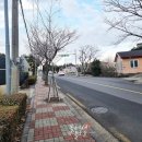 바테펜션 이미지