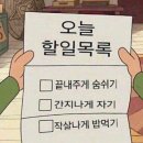 국희