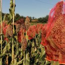 새재ㆍ낙동강자전거길 이미지