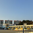 표선초등학교 운동장 네이버블로그