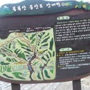 화채봉 계곡펜션 이미지