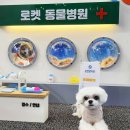 선닥터동물병원 이미지