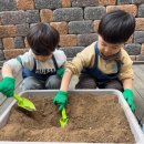 시냇가 푸른나무 유치원 이미지