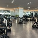 짐포레스트 이미지