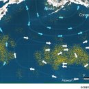 대륙 크기... 태평양 떠다니는 두 개의 ‘쓰레기 섬’ ㄷㄷㄷ 이미지