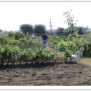 제비농장 이미지