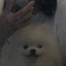 (주)에이엠에이엔