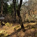 문경새재길 이미지