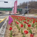 레인보우힐링관광지 이미지