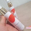 야니소프트 이미지