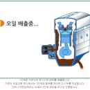 카맨샵 이미지