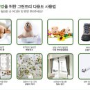 향기로운운동화세탁 이미지