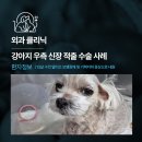 우신메디칼 이미지