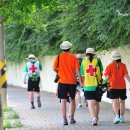 인천광역시바로알기종주단 이미지