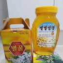 벧엘 양봉 이미지