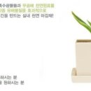 에덴시티 네이버블로그