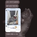 우진구내식당 - 강서구 녹산산단165로14번길 7 | 오시에떼아게루 教えてあげる - 👐🏻