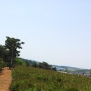 대덕농원 Daum카페
