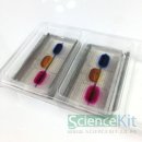 영동싸이언스 이미지