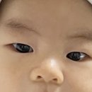 휘푸드 - 수원시 권선구 | 휘푸드