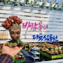 알퐁소농장 이미지