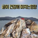 해물나라 짬뽕마을 | 반동마을 '옥이해물나라 굴구이', 왜 겨울 보양식이라 불릴까?