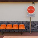 오렌지 애견카페 이미지