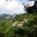 푸른향내음 머리사랑