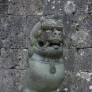 바다의왕국 이미지