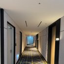 르메르디앙 서울 명동 이미지