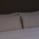 호텔 라움 이미지