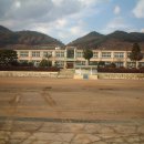 월등초등학교 이미지